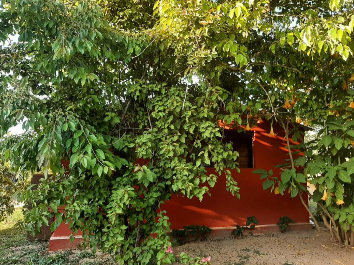 Casa Di Campagna Dal Pozzo Sorso Bagian luar foto