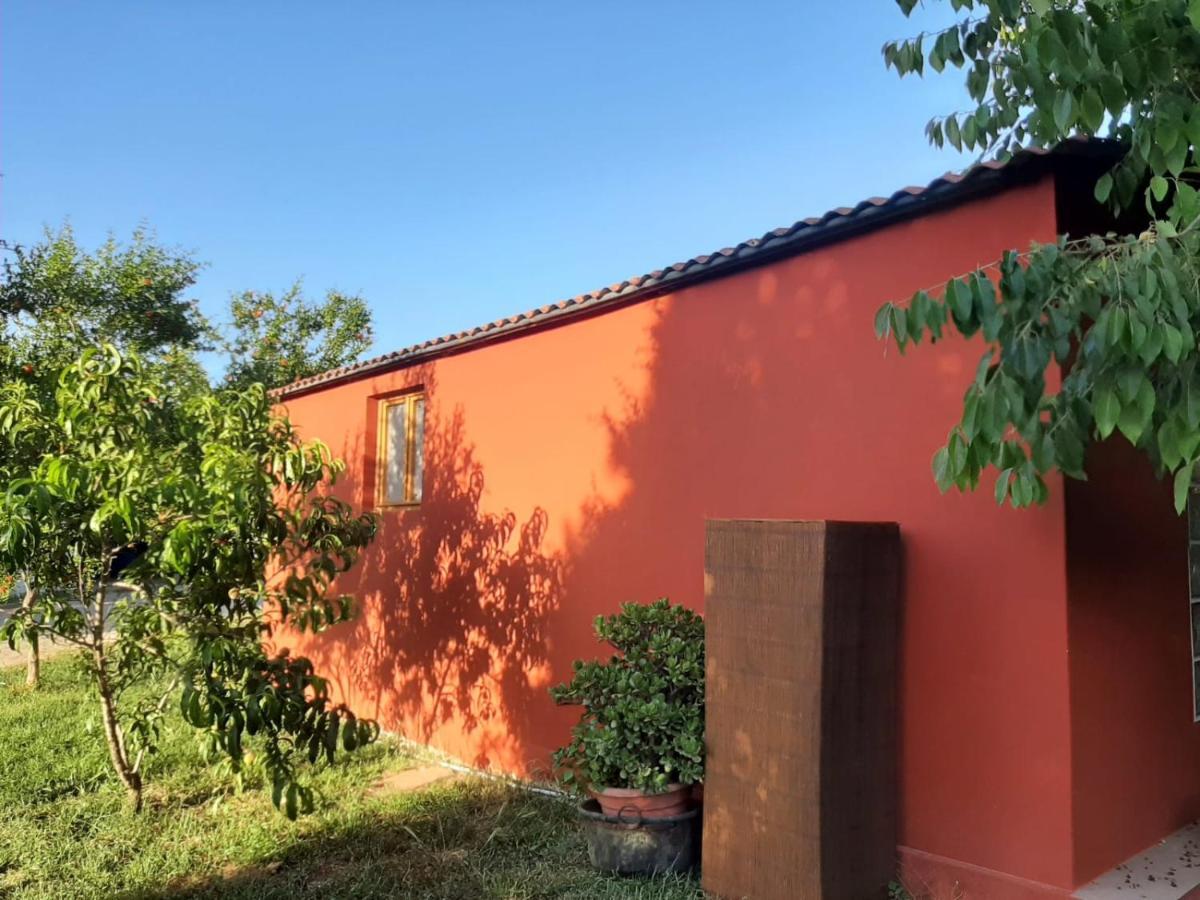 Casa Di Campagna Dal Pozzo Sorso Bagian luar foto