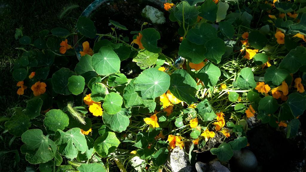 Casa Di Campagna Dal Pozzo Sorso Ruang foto