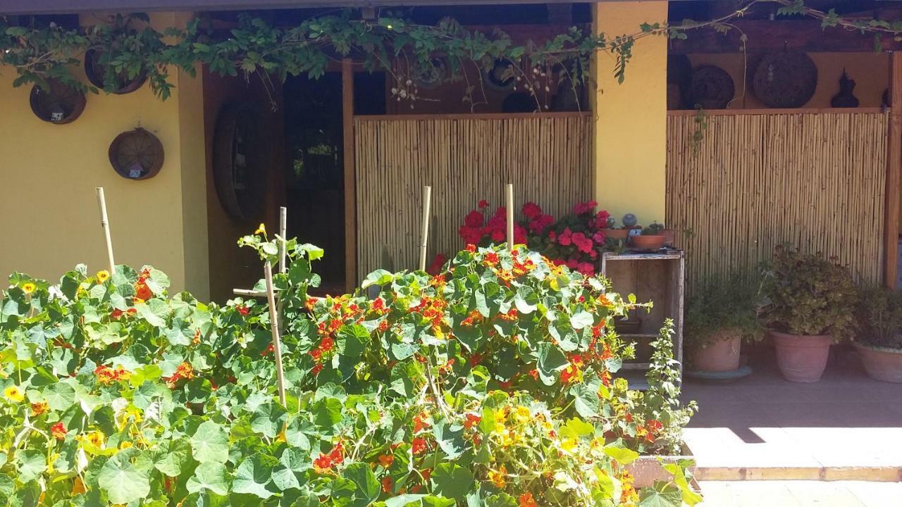 Casa Di Campagna Dal Pozzo Sorso Bagian luar foto